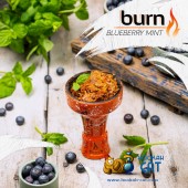 Табак Burn Blueberry Mint (Черника Мята) 100г Акцизный